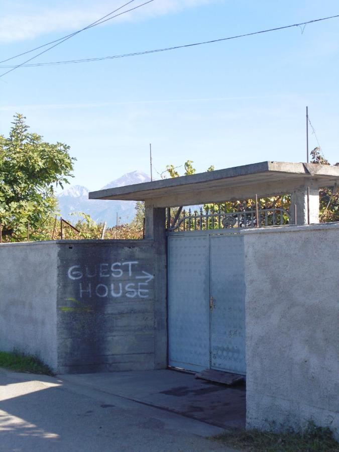 Florians Guesthouse Shkoder Exterior photo